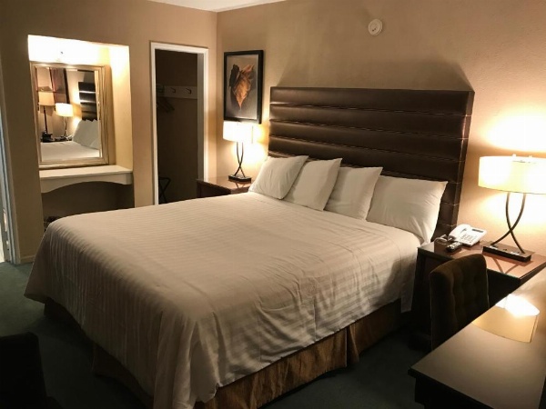 Discovery Inn image 16