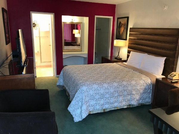 Discovery Inn image 7